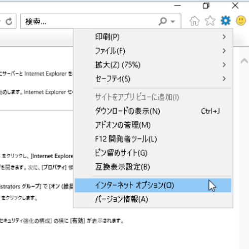 IE インターネットオプション